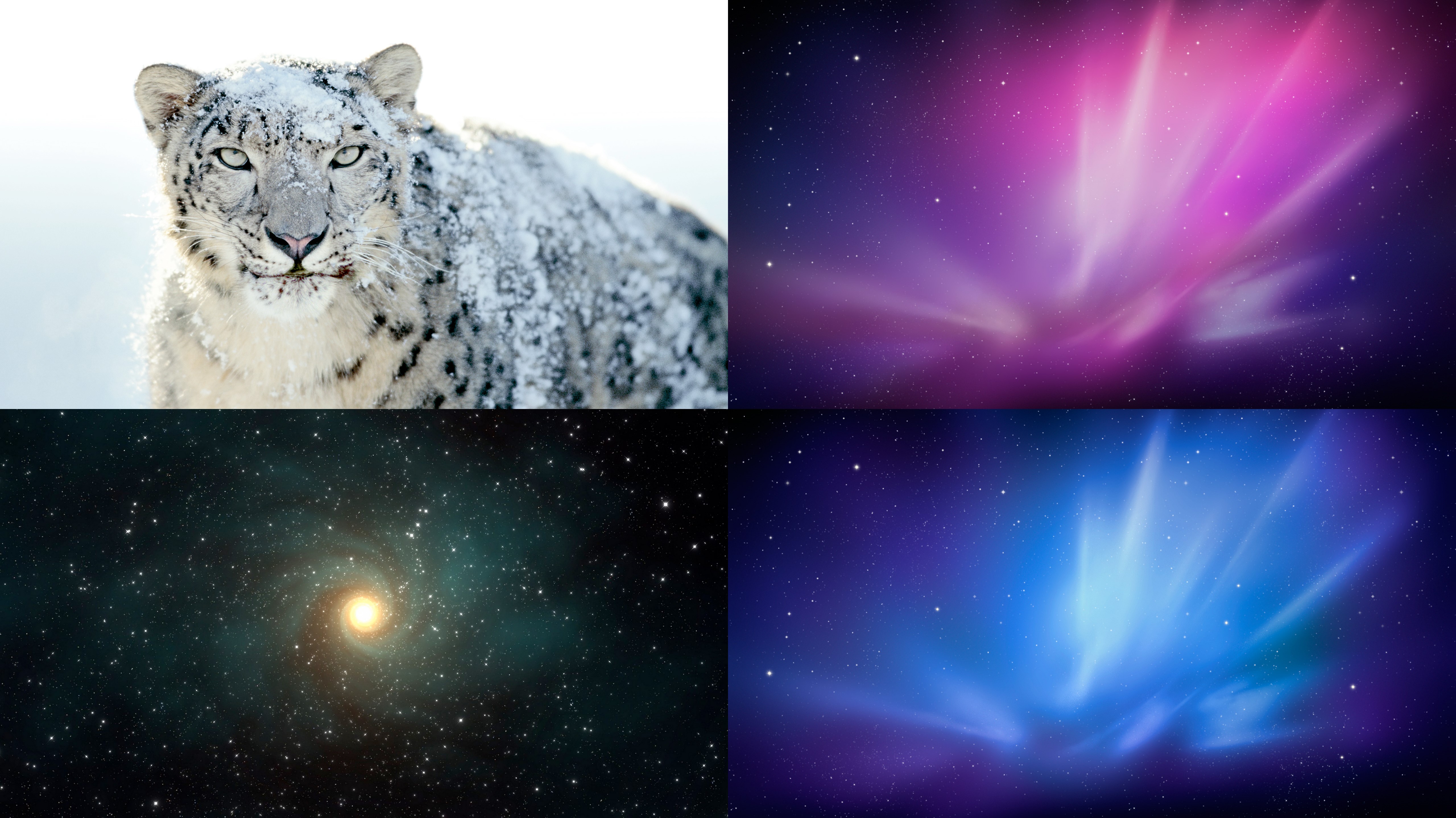 can i download mac os x 10.6 snow leopard online via itunes